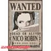Affiche Wanted Robin - New World Prime