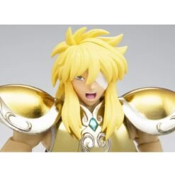 Myth Cloth Hyoga Armure D'or Du Verseau -Périphériques Du Modèle myth cloth hyoga armure d or du verseau 3