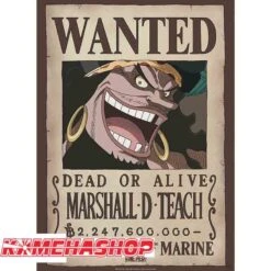 One Piece - Affiche Wanted Blackbeard Marshall.D.Teach