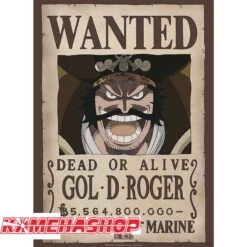 One Piece - Affiche Wanted Gold.D Roger