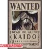 One Piece - Affiche Wanted Kaido 2 One Piece - Affiche Wanted Kaido -Périphériques Du Modèle one piece affiche wanted kaido