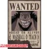 One Piece - Affiche Wanted Marshall D.Teach -Périphériques Du Modèle one piece affiche wanted marshall dteach
